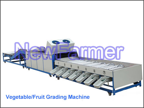 Vegetable and Fruit Grading Machine