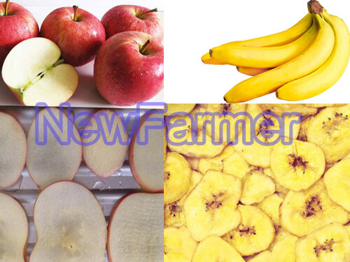 Vegetable and Fruit Slicing Machine