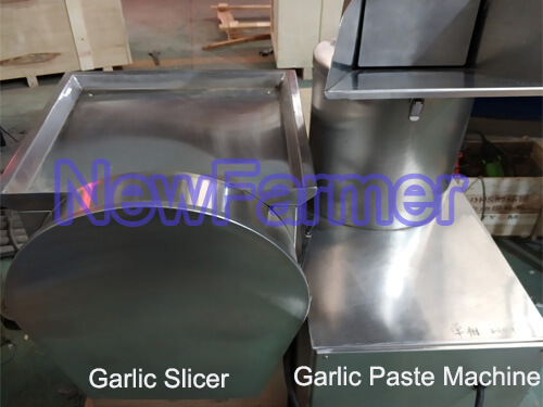 garlic paste machine
